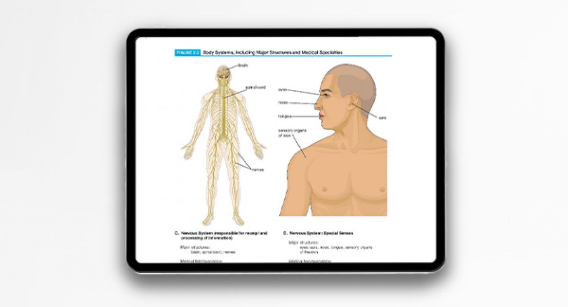 Courseware Features